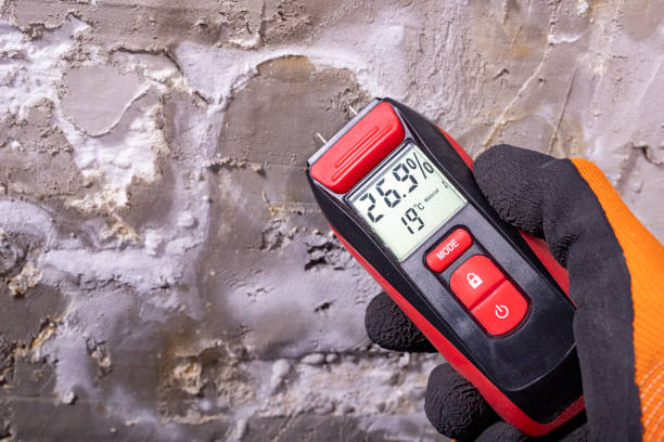 Best Mold Cleaning Services  in Chantilly, VA
