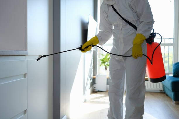 Mold Testing and Removal in Chantilly, VA