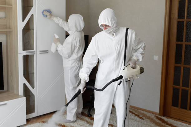 Best Mold Damage Repair  in Chantilly, VA